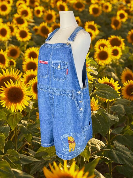 Winnie the Pooh Denim - Volup Vintage Y2K Disney Winnie the Pooh Denim Bib Shortalls Size 22W